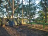 Camping in a park in Maryborough
