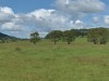 Panorama - Green Hill