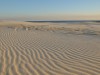 Stockton Bight Sand Dunes