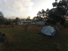 Camping in Lymington