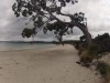 Great Taylors Bay