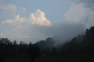 dsc_0593