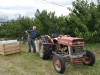 Mike - Our supervisor and owner of Woodstock Orchard
