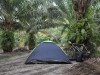 Zelten auf einer Palmenplantage - Diesmal mit einem 10 Euro Zelt von Tesco, das andere Zelt was ich zuvor benutzt habe ist mir zu klein