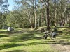 Free campsite in Lorne