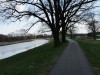 Radweg an der Elster