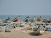 Fischerboote am Strand von Chennai