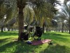 sleeping under a palm tree