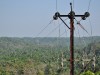 Stromleitung im Dschungel